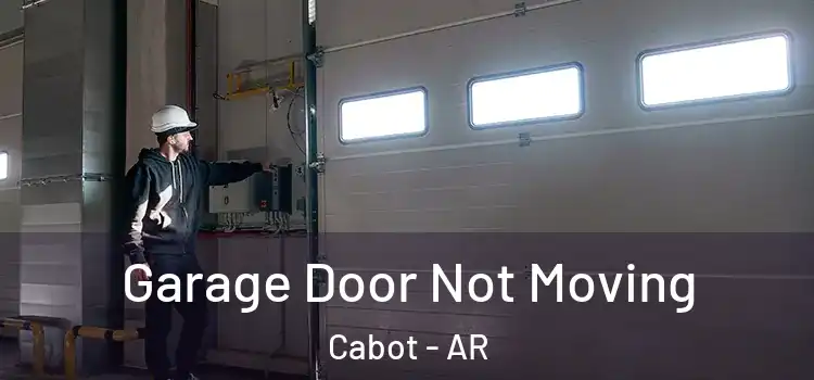  Garage Door Not Moving Cabot - AR