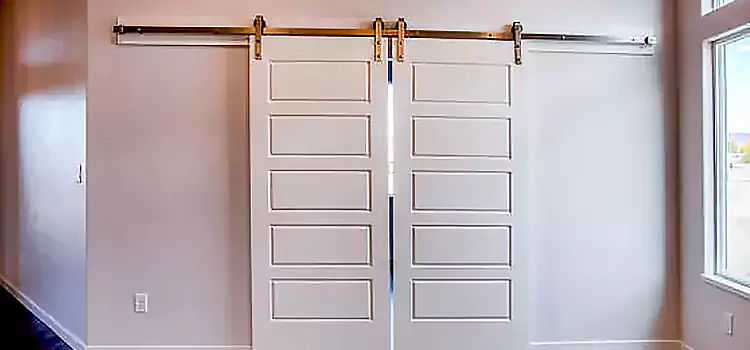 Glass Barn Door with Installation Hardware Kit Cabot