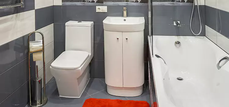 Hansgrohe Shaving Mirror Cabot